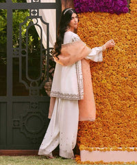 3 Piece - Embroidered Cotton Net Suit