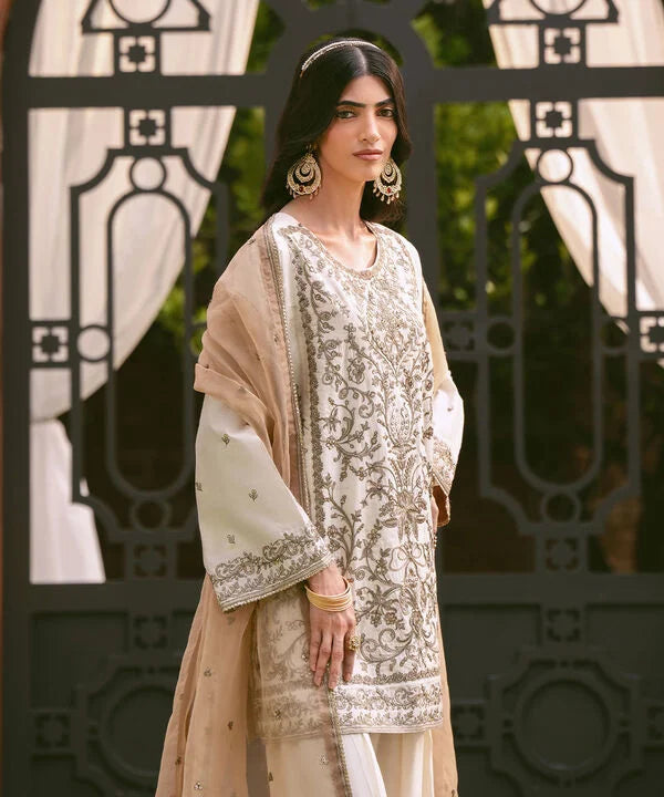 3 Piece - Embroidered Cotton Net Suit